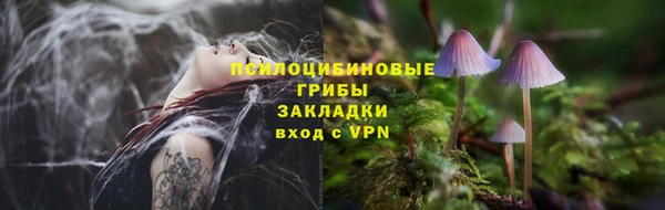 мескалин Арсеньев