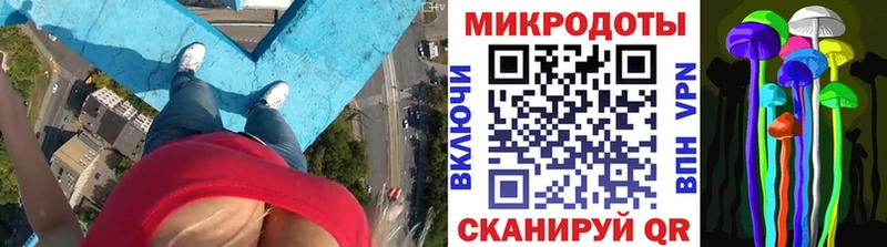 Купить  Гай  Псилоцибиновые грибы Magic Shrooms 